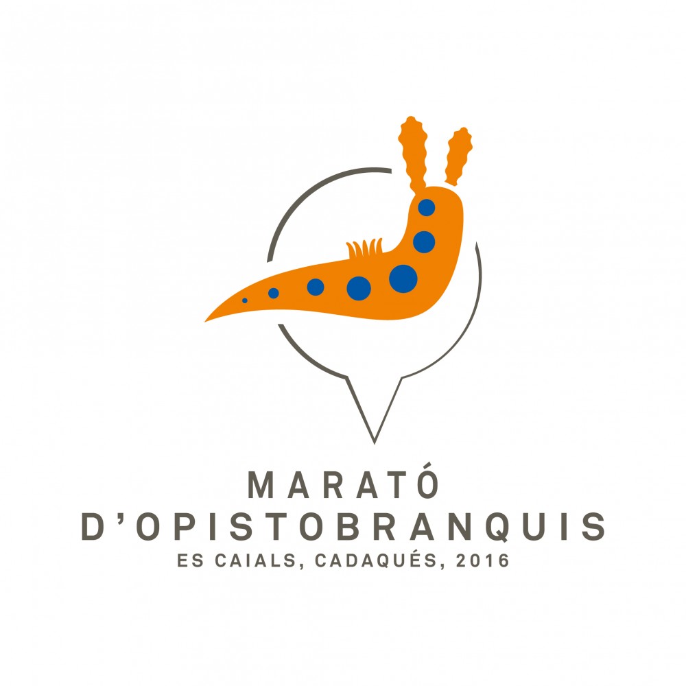 MaratoOpistobranquis2016.jpg