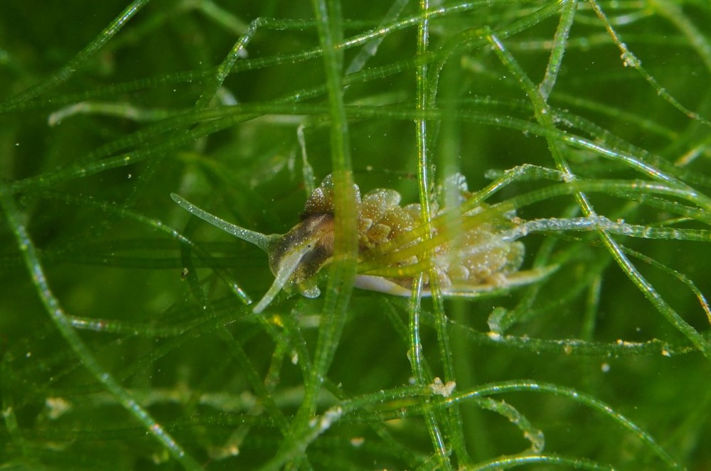 DSC_5155.jpg