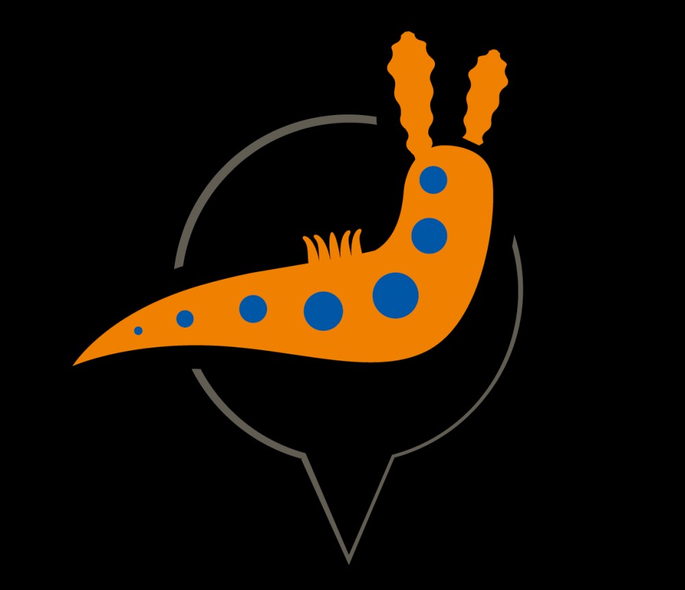 MaratoOpistobranquis2016_icona_1.png